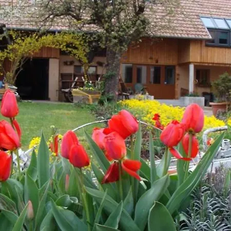 Studio Le Loyala Apartamento