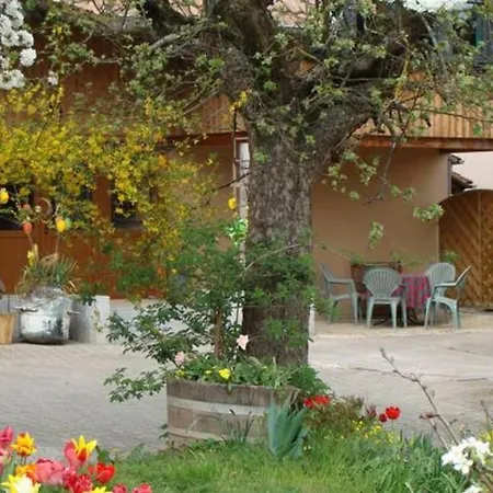 Apartamento Studio Le Loyala Wihr-au-Val